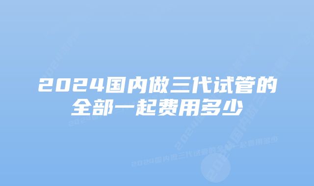 2024国内做三代试管的全部一起费用多少