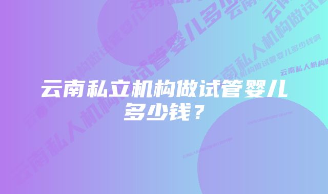 云南私立机构做试管婴儿多少钱？