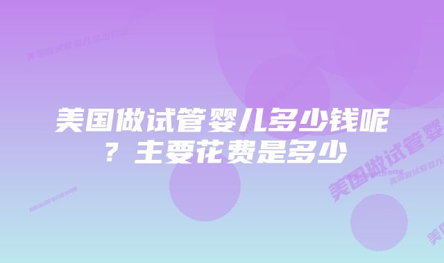 美国做试管婴儿多少钱呢？主要花费是多少