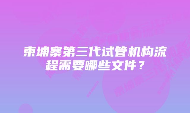 柬埔寨第三代试管机构流程需要哪些文件？