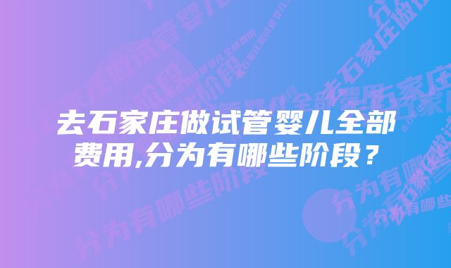 去石家庄做试管婴儿全部费用,分为有哪些阶段？