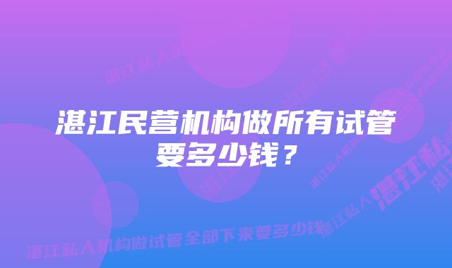 湛江民营机构做所有试管要多少钱？