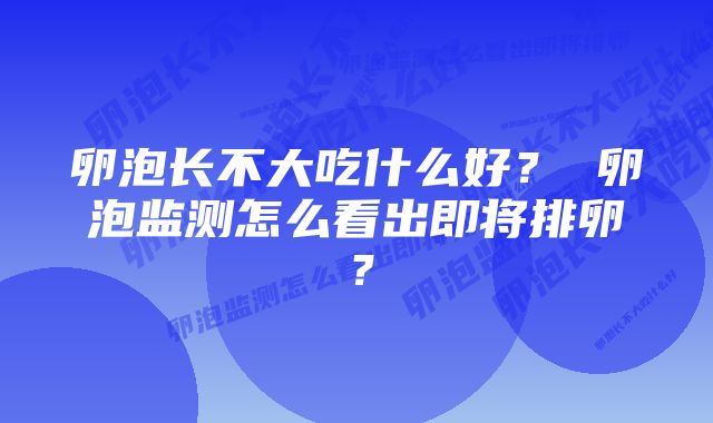 卵泡长不大吃什么好？ 卵泡监测怎么看出即将排卵？