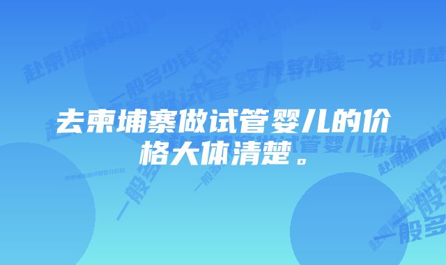 去柬埔寨做试管婴儿的价格大体清楚。