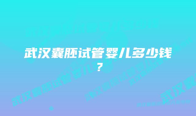 武汉囊胚试管婴儿多少钱？