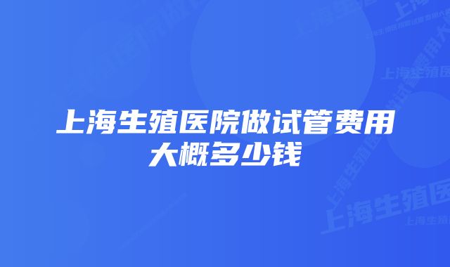 上海生殖医院做试管费用大概多少钱