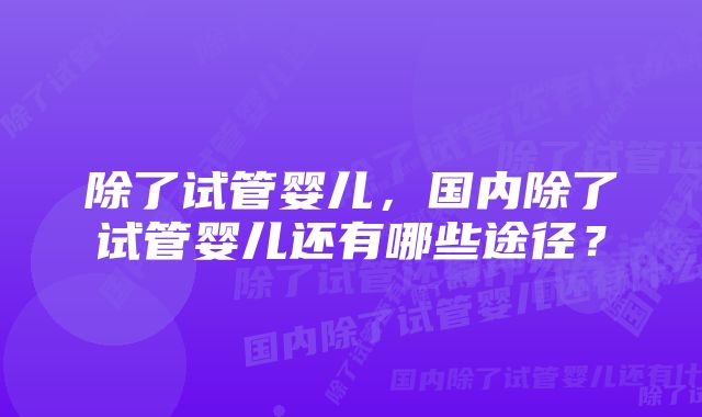 除了试管婴儿，国内除了试管婴儿还有哪些途径？