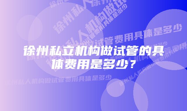 徐州私立机构做试管的具体费用是多少？