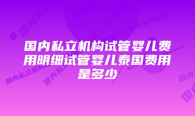 国内私立机构试管婴儿费用明细试管婴儿泰国费用是多少