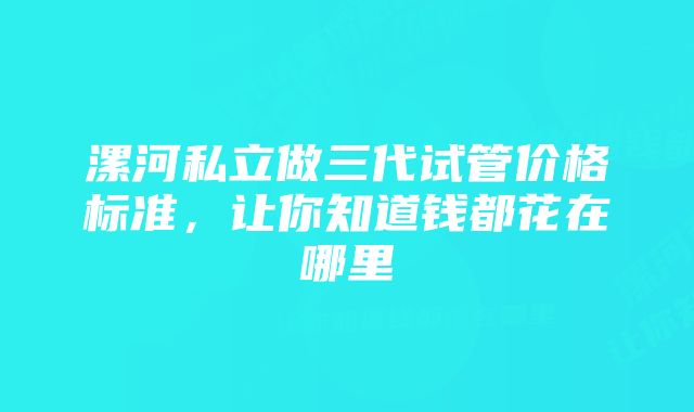 漯河私立做三代试管价格标准，让你知道钱都花在哪里