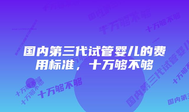 国内第三代试管婴儿的费用标准，十万够不够