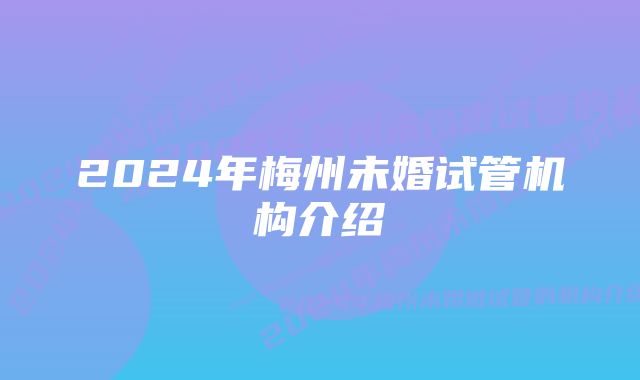 2024年梅州未婚试管机构介绍