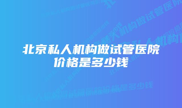 北京私人机构做试管医院价格是多少钱