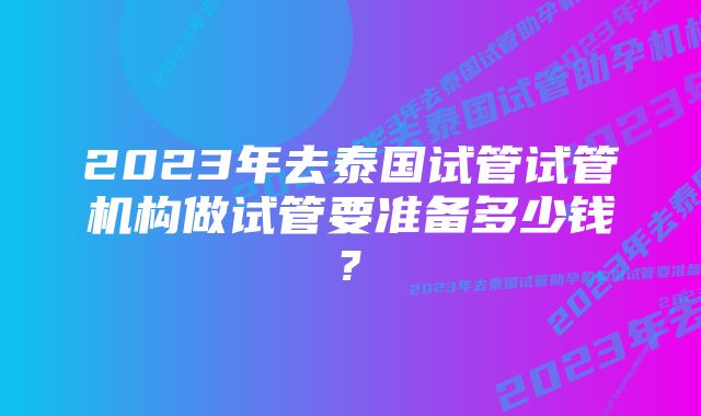 2023年去泰国试管试管机构做试管要准备多少钱?