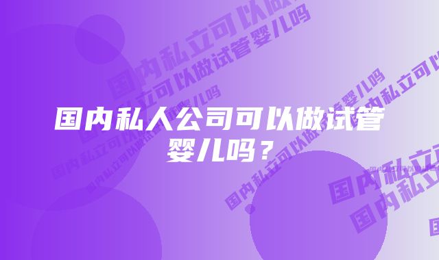 国内私人公司可以做试管婴儿吗？