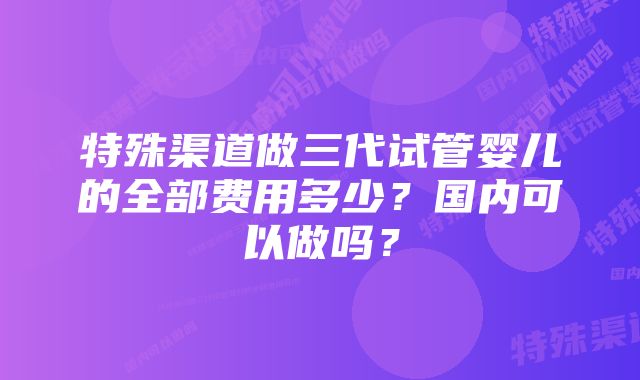 特殊渠道做三代试管婴儿的全部费用多少？国内可以做吗？