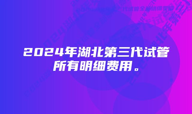 2024年湖北第三代试管所有明细费用。