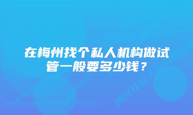 在梅州找个私人机构做试管一般要多少钱？