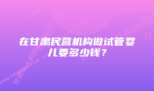 在甘肃民营机构做试管婴儿要多少钱？