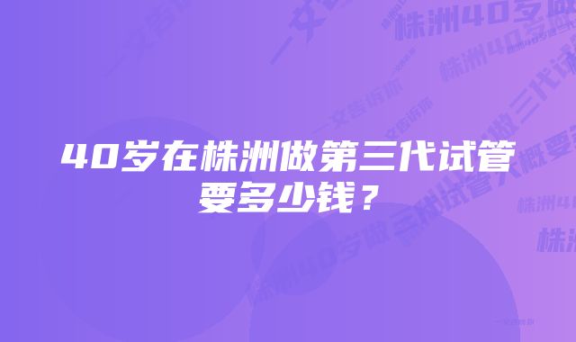 40岁在株洲做第三代试管要多少钱？