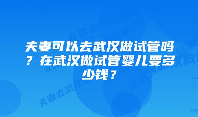 夫妻可以去武汉做试管吗？在武汉做试管婴儿要多少钱？