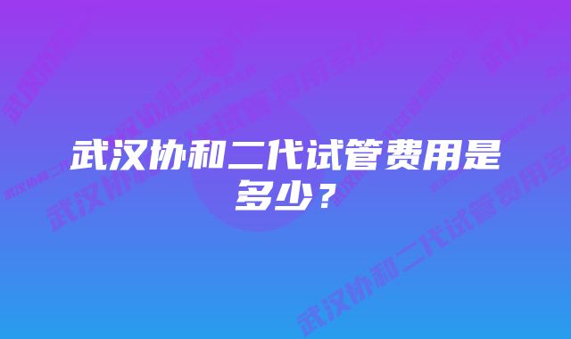 武汉协和二代试管费用是多少？