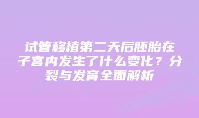 试管移植第二天后胚胎在子宫内发生了什么变化？分裂与发育全面解析