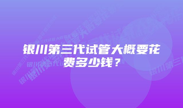 银川第三代试管大概要花费多少钱？