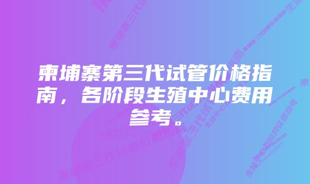 柬埔寨第三代试管价格指南，各阶段生殖中心费用参考。