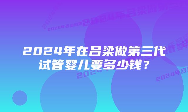 2024年在吕梁做第三代试管婴儿要多少钱？