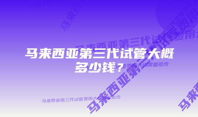 马来西亚第三代试管大概多少钱？