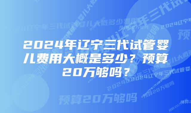 2024年辽宁三代试管婴儿费用大概是多少？预算20万够吗？