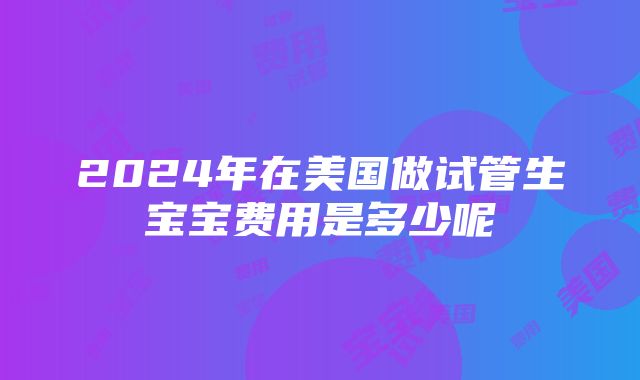 2024年在美国做试管生宝宝费用是多少呢