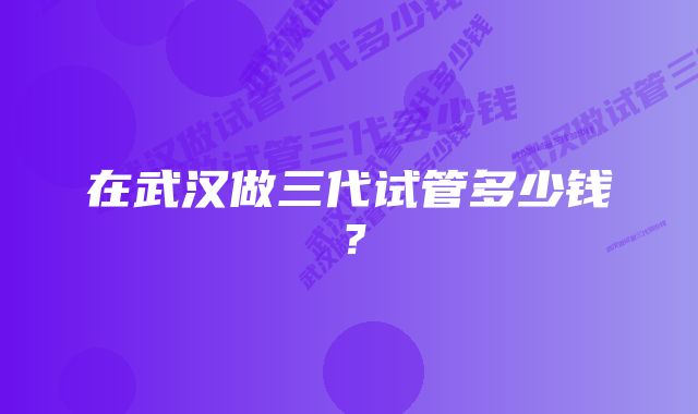 在武汉做三代试管多少钱？