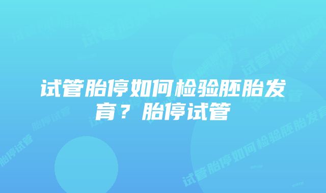 试管胎停如何检验胚胎发育？胎停试管