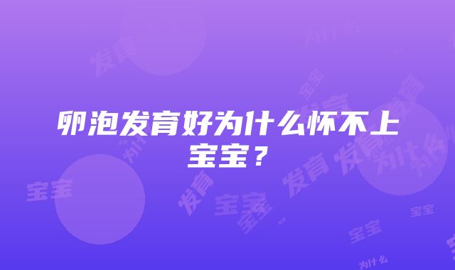 卵泡发育好为什么怀不上宝宝？