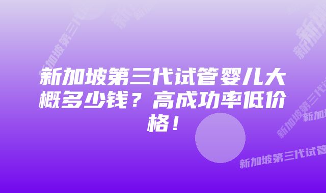 新加坡第三代试管婴儿大概多少钱？高成功率低价格！