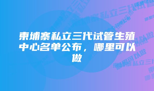 柬埔寨私立三代试管生殖中心名单公布，哪里可以做