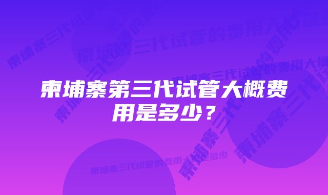 柬埔寨第三代试管大概费用是多少？