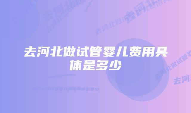 去河北做试管婴儿费用具体是多少