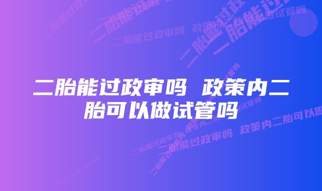 二胎能过政审吗 政策内二胎可以做试管吗