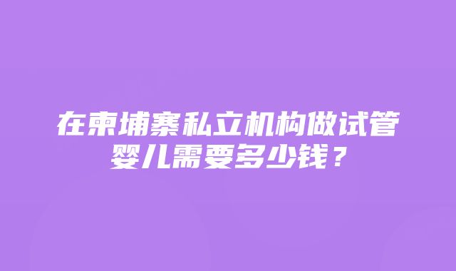 在柬埔寨私立机构做试管婴儿需要多少钱？