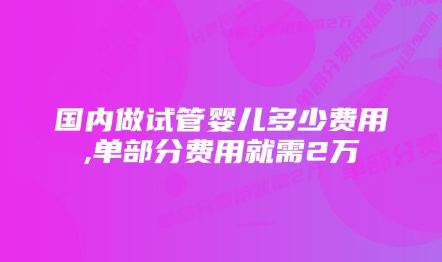 国内做试管婴儿多少费用,单部分费用就需2万