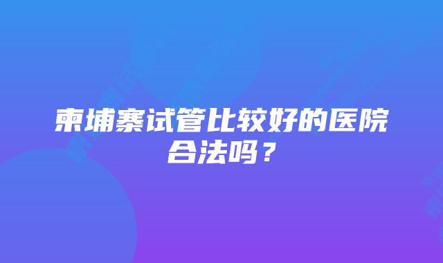 柬埔寨试管比较好的医院合法吗？