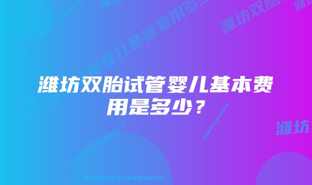 潍坊双胎试管婴儿基本费用是多少？