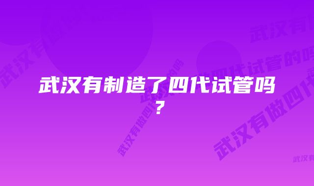 武汉有制造了四代试管吗？