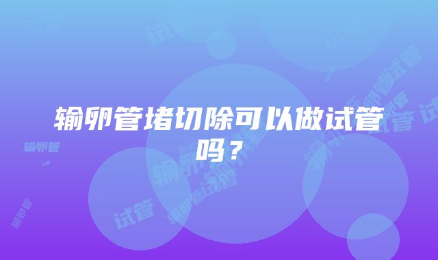 输卵管堵切除可以做试管吗？