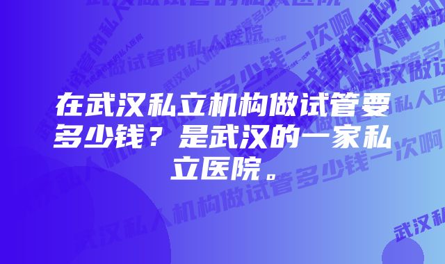 在武汉私立机构做试管要多少钱？是武汉的一家私立医院。