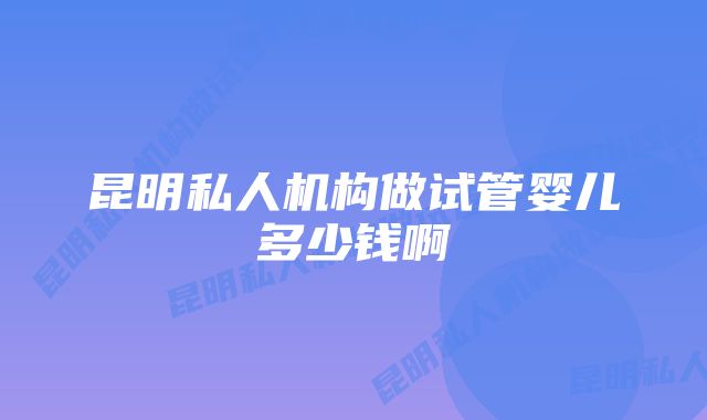 昆明私人机构做试管婴儿多少钱啊