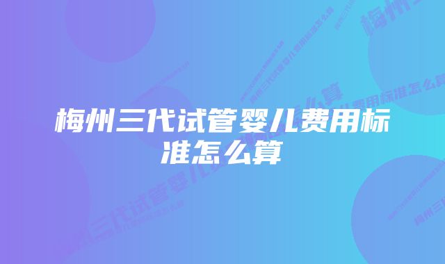 梅州三代试管婴儿费用标准怎么算